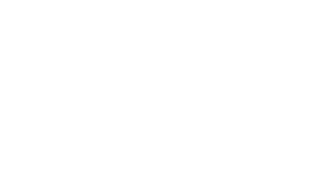 HAHN Automation Group